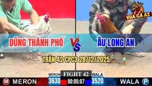 Trận 42 CPC3 28/12/2025 - Gà Bướm Anh Dũng Phản 5 Lai, Biện Hóc Xương