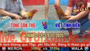Trận 42 CPC5 9/12/2025 - Xám Son Anh Tùng Cần Thơ Dập Như Máy Khâu