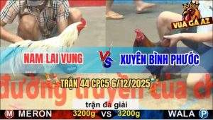 Trận 44 CPC5 6/12/2025 - Anh Nam Lai Vung Gặp Anh Xuyên Bình Phước
