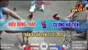 Trận 45 Hà Tiên 7/12/2025 - Bướm Anh Cương Lên 2 Đá Bướm Đỏ Tai Biến