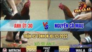 Trận 45 TonHon 10/12/2025 - Gà Anh Nguyên Kém 3 Chấm Dí Đỏ Quanh Sân