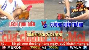 Trận 5 CPC5 3/12/2025 - Điều Tránh Né Để Cây Lưng Que Đứng Rút Hình