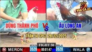 Trận 50 CPC3 28/12/2025 - Gà Bướm Anh Dũng Thành Phố Đâm Cựa Bao Dính