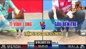Trận 51 CPC3 28/12/2025 - Phút 90 Gà Anh Gấu Bỏ Ô Vẫn Ngậm Cục Tiền