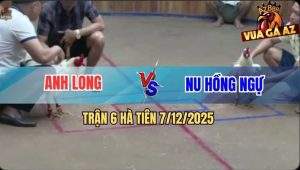 Trận 6 Hà Tiên 7/12/2025 - Úa Hiệu Anh Nu Đá Tăng Bướm Anh Long Hết 5G