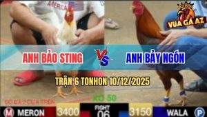 Trận 6 TonHon 10/12/2025 - Anh Bảo Sting Số Đen Ra 2 Con Chạy Cả Hai
