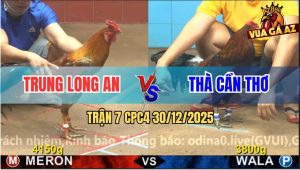 Trận 7 CPC4 30/12/2025 - Gà Xám Anh Trung Ngoại Hạng Mà Đâm Như Chỉa
