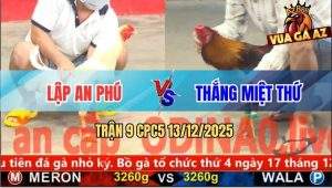 Trận 9 CPC5 13/12/2025 - Úa Hiệu Anh Lập Né Hay Đâm Xám Chết Đứng