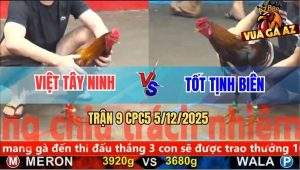 Trận 9 CPC5 5/12/2025 - Gà Điều Anh Việt Đâm Que Không Kịp Chạy