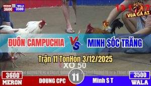 Trận 11 TonHon 3/12/2025 - Bảo Sting Thả Giùm Dính Chân Xui Hết Cứu