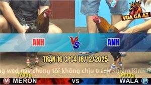 Trận 16 CPC4 18/12/2025