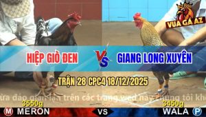 Trận 28 CPC4 18/12/2025