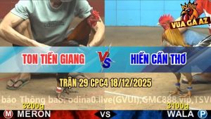Trận 29 CPC4 18/12/2025