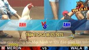 Trận 11 CPC4 18/12/2025