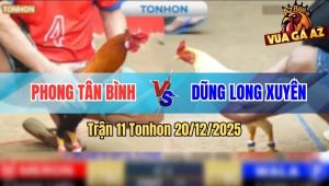 Trận 11 Tonhon 20/12/2025