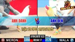 Trận 12 CPC3 21/12/2025