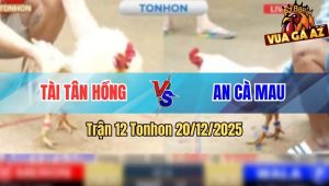 Trận 12 Tonhon 20/12/2025