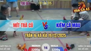 Trận 16 Xà Xía 19/12/2025