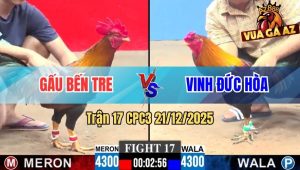 Trận 17 CPC3 21/12/2025