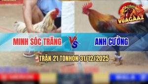Trận 21 Tonhon 31/12/2025