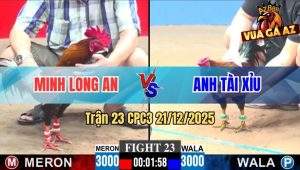 Trận 23 CPC3 21/12/2025