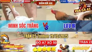 Trận 23 Tonhon 19/12/2025