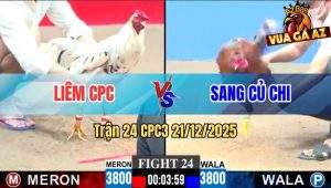 Trận 24 CPC3 21/12/2025