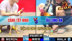 Trận 39 CPC3 21/12/2025
