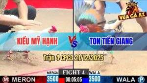Trận 4 CPC3 21/12/2025