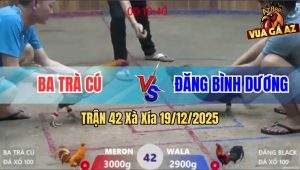 Trận 42 Xà Xía 19/12/2025