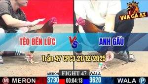 Trận 47 CPC3 21/12/2025
