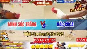 Trận 5 Tonhon 19/12/2025