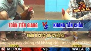Trận 8 CPC4 18/12/2025