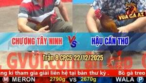 Trận 8 CPC5 22/12/2025