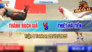 Trận 8 Tonhon 20/12/2025
