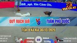 Trận 8 Xà Xía 30/12/2025