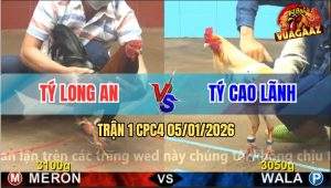 Trận 1 CPC4 5/1/2026 - Điều Chết Tới Trả Chân Tiễn Bướm Về Cao Lãnh