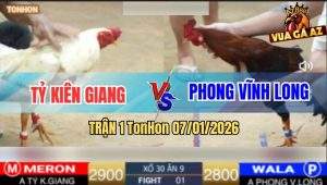 Trận 1 TonHon 7/1/2026 - Gà Anh Tỷ Vừa Thả Lấy Kem Trong 1 Nốt Nhạc
