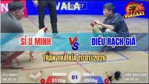 Trận 1 Xà Xía 11/1/2026 - Úa Anh Sỉ Mở Bát 1 Đá Đưa Chuối Lên Bàn Thờ