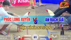 Trận 1 Xà Xía 26/1/2026 - Úa Vừa Nằm Xuống, Bướm Cũng Gục Theo