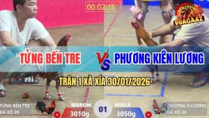 Trận 1 Xà Xía 30/1/2026 - Xám Đỏ Đá Cho Xám Xanh Phê Không Lối Thoát