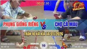 Trận 10 Xà Xía 14/1/2026 - Điều Đâm Úa Thốn Đến Tận Óc, La Miệng Chạy