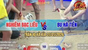 Trận 10 Xà Xía 31/1/2026 - Anh Kiểm Sửa Quá Khéo, Gồng Đến Phút Cuối