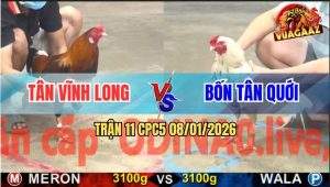 Trận 11 CPC5 9/1/2026 - Gà Điều Chịu Đòn Gồng Cứu Chủ Thành Công