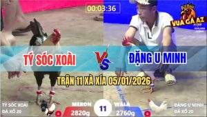 Trận 11 Xà Xía 5/1/2026 - Úa Anh Đặng Đâm Chuối Phá Đôi Chạy Bay Bồ