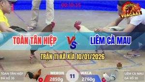 Trận 11 Xà Xía 10/1/2026 - Bướm Hít Vô Đá Đúng Chân Bưng Điều Ra Ngoài