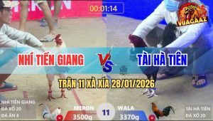Trận 11 Xà Xía 28/1/2026 - Bướm Đâm Mu Lưng Điều Anh Kiểm Chạy La Làng