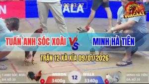 Trận 12 Xà Xía 9/1/2026 - Điều Mật Đá Toàn Đầu Cần Hạ Bướm Nhanh Gọn
