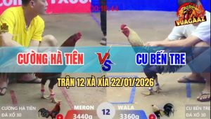 Trận 12 Xà Xía 22/1/2026 - Điều Cù Lũ Đá Chuối Cây Lưng Liệt Nửa Người