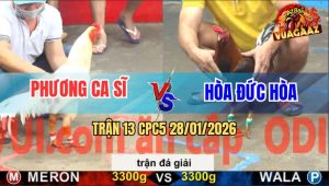Trận 13 CPC5 28/1/2026 - Anh Phương Ca Sĩ Hặp Anh Hòa Đức Hòa